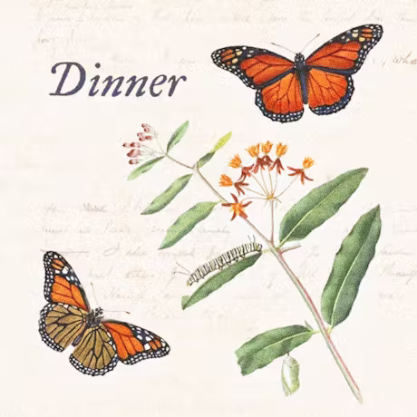 Dinner Butterflies